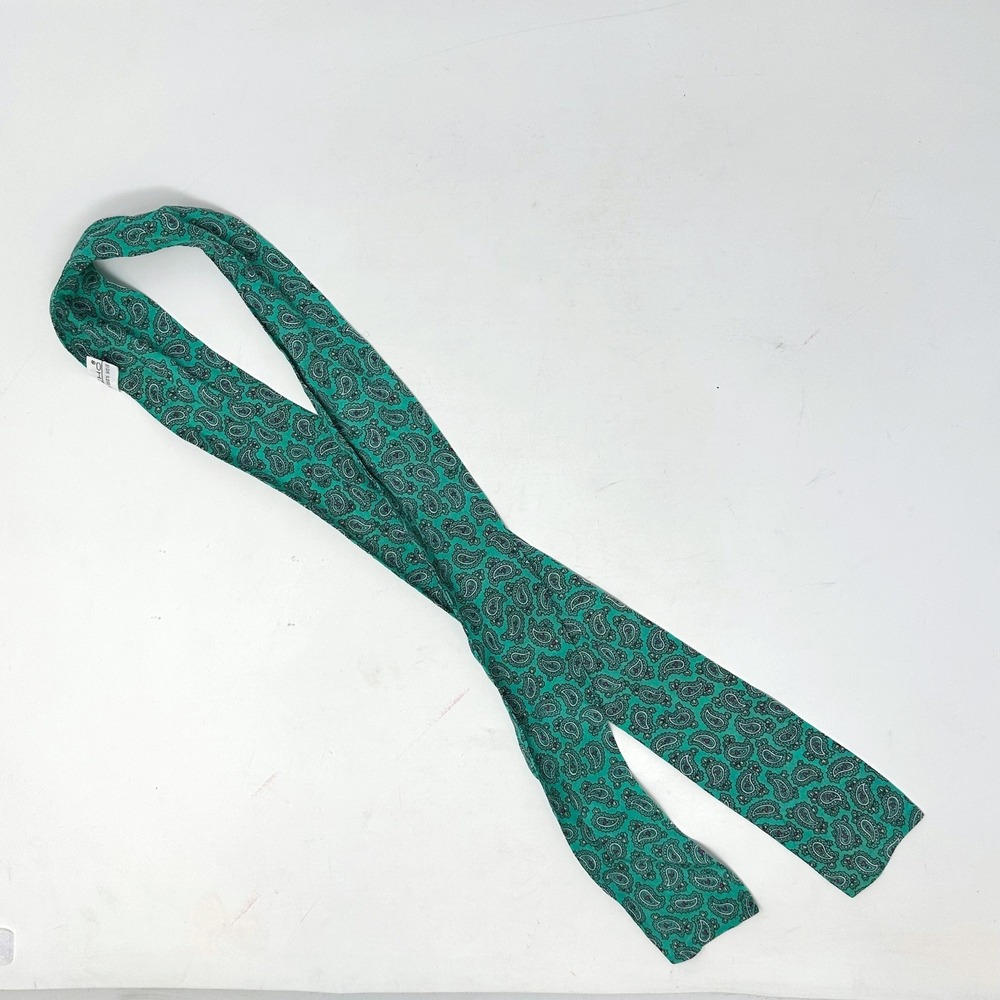 ECHO Skinny Ribbon Silk Chiffon Paisley Print Scarf‎ 2" x 44"